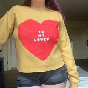 Taylor Swift cropped sweater